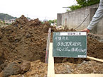 stp_pic01.jpg