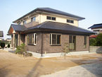 stp_pic05.jpg