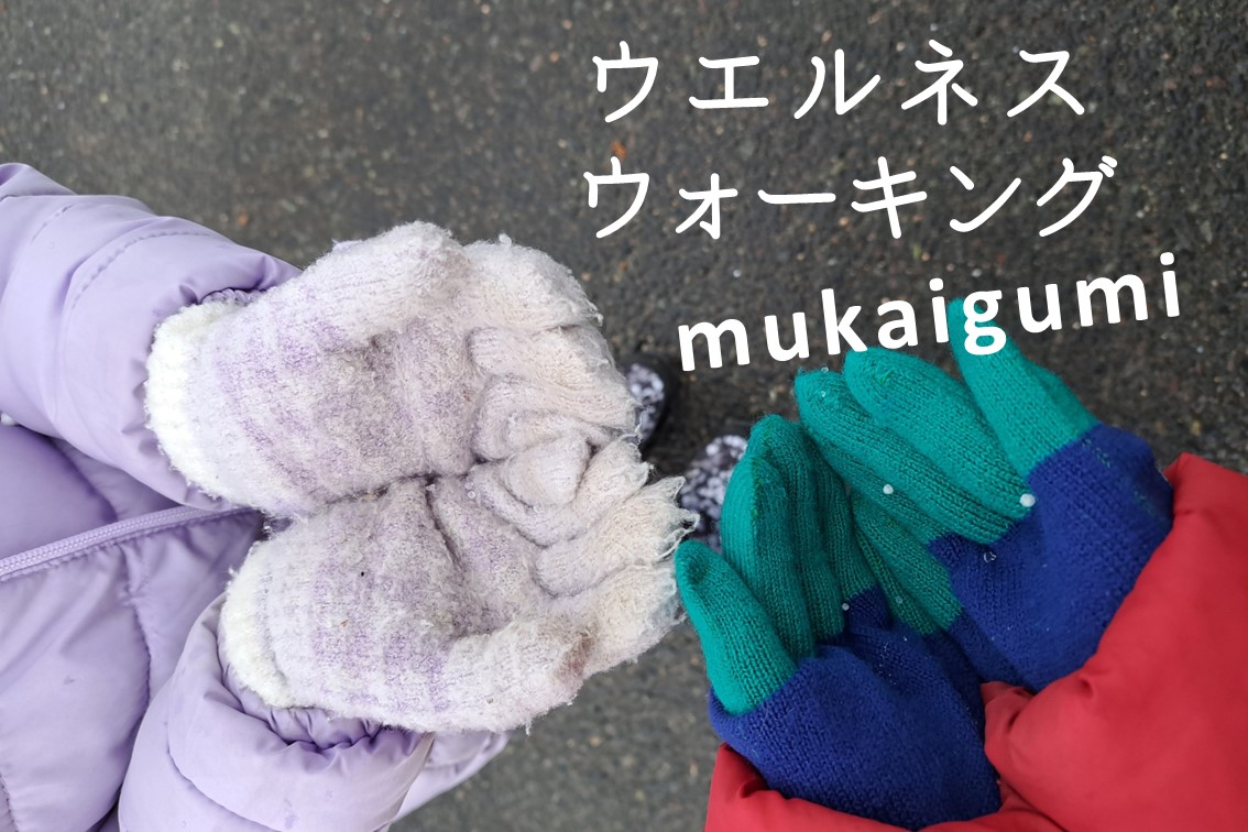 第67回むかいぐみウエルネスウォーキング